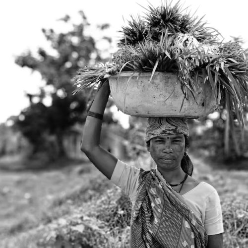 portrait-smiling-woman-carrying-basket-head_1048944-23035504